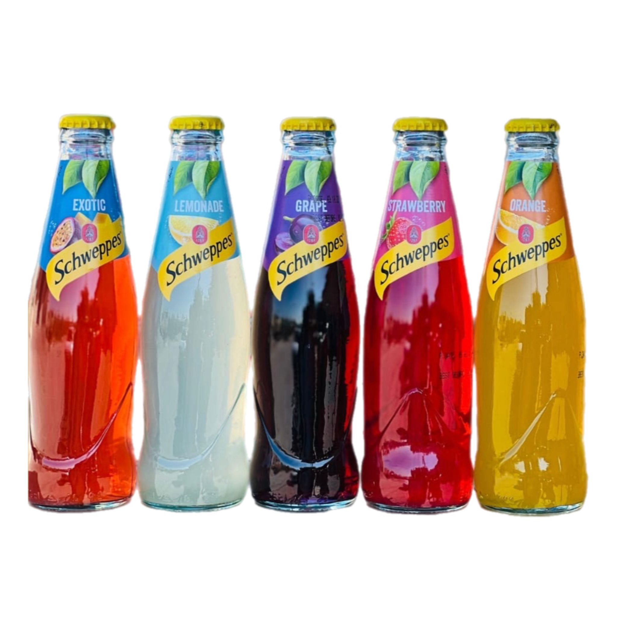 شويبس زجاج 250 مل 1/24